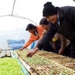 Con el Primer Convite inicia la Guelaguetza 2023, la gran fiesta de los pueblos de Oaxaca