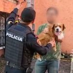 Chagas, causante de problemas cardíacos: SSO