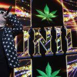 Devastan el Jardín Binacional por avances en la obra del muro de Trump