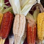 Se compromete a reducir jornada laboral