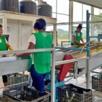 ¿Investigan a Peso Pluma en Estados Unidos?