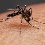 Reformas del sector eléctrico son históricas: Sener