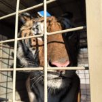 En Oaxaca, 10 mil 777 escuelas cerradas por paro de la CNTE: SEP