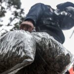 El Nuevo Rey de los Rayados: Julián Álvarez, el Delantero que Puede Sustituir a Germán Berterame y Establecerse como Estrella en el Fútbol Mexicano.